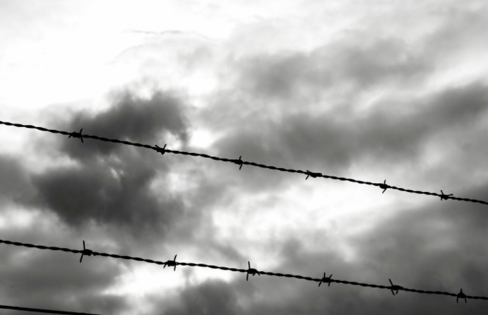 Barbed wire with a gloomy sky background.